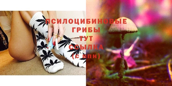 spice Володарск
